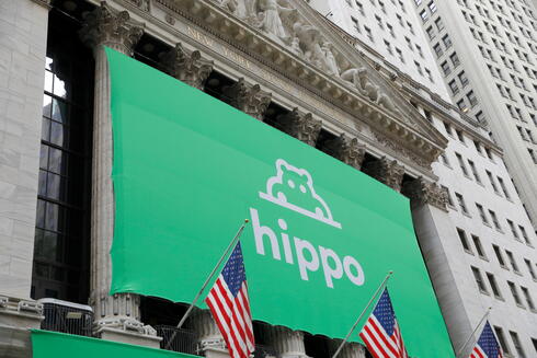 Hippo IPO. Hippo IPO.