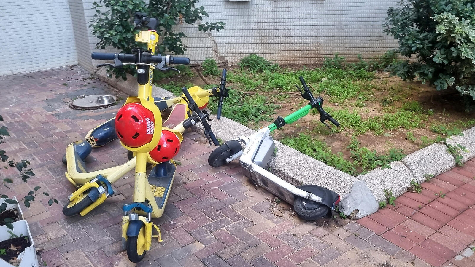 מערום קורקינטים בתל אביב