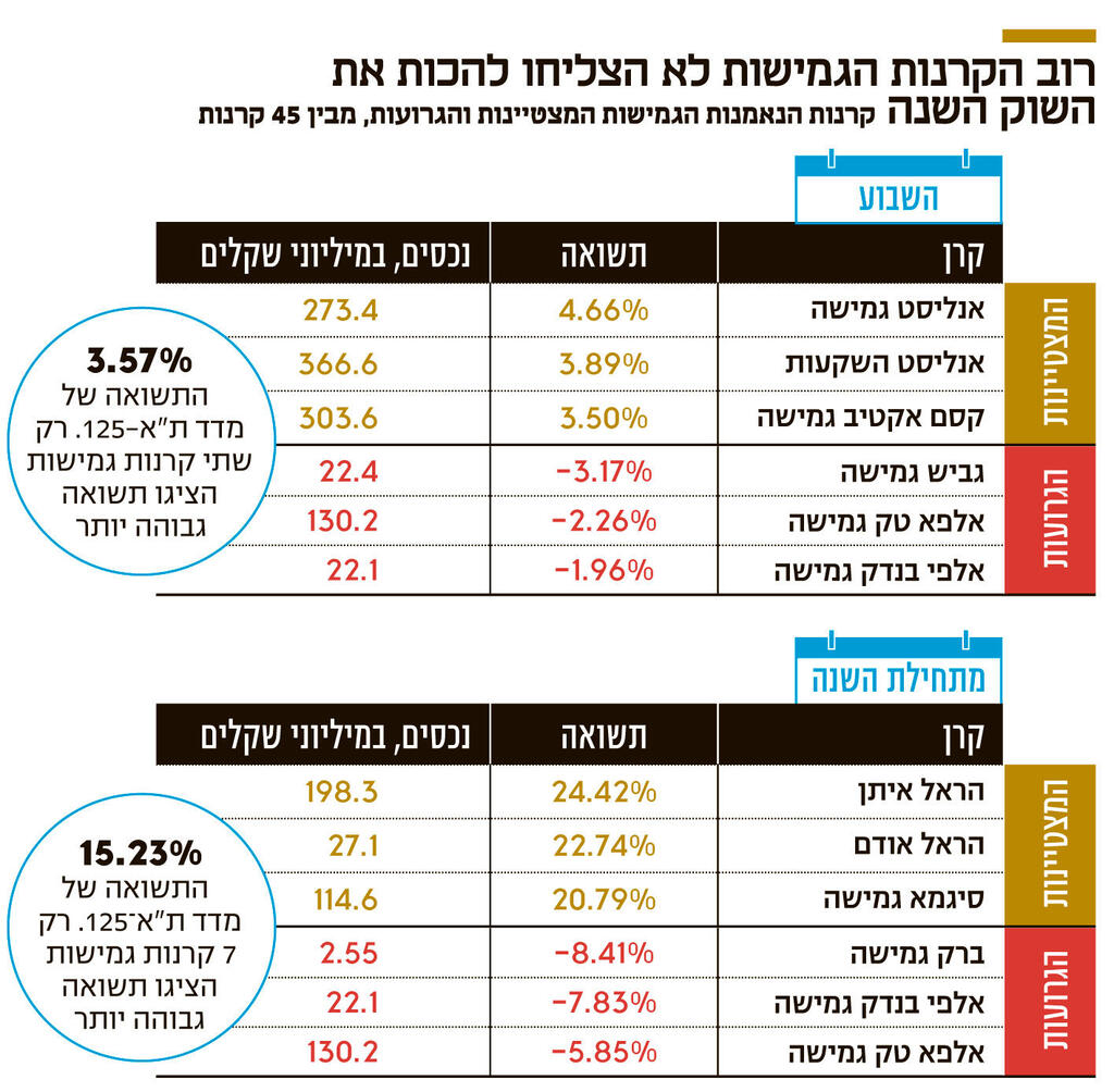 אינפו רוב הקרנות הגמישות לא הצליחו להכות את השוק השנה